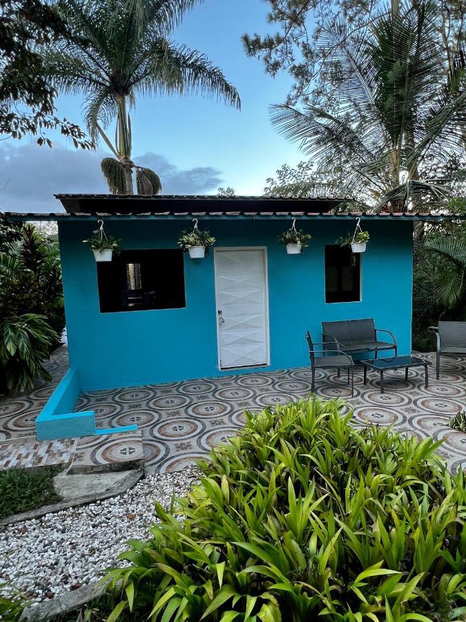 Vila Haus Unter Palmen Jarabacoa Exteriér fotografie